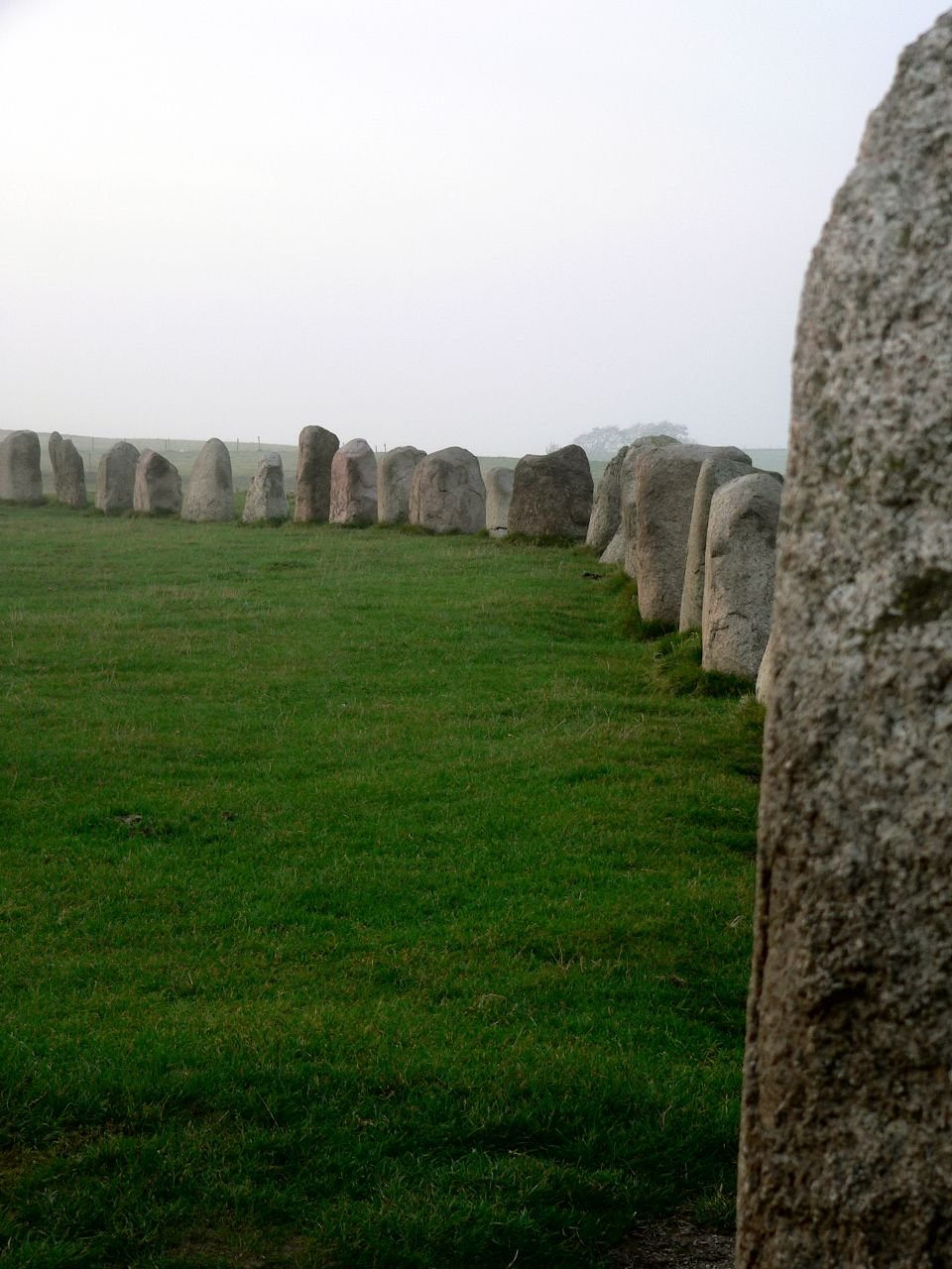 Ales Stenar (SE)
