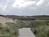 Amrum
