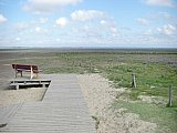 Amrum