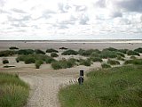 Amrum