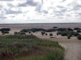 Amrum