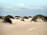 Amrum
