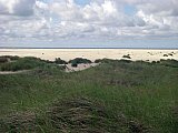 Amrum