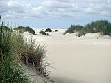 Amrum