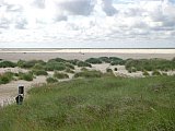 Amrum