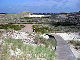 Amrum