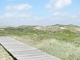Amrum