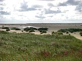 Amrum