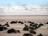Amrum