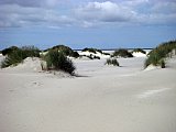 Amrum