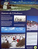 Amrum