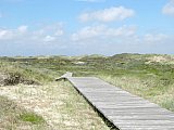 Amrum