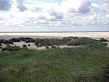 Amrum