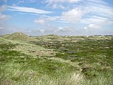 Amrum