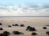 Amrum