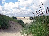 Amrum