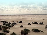 Amrum