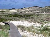 Amrum