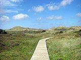 Amrum