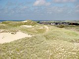 Amrum