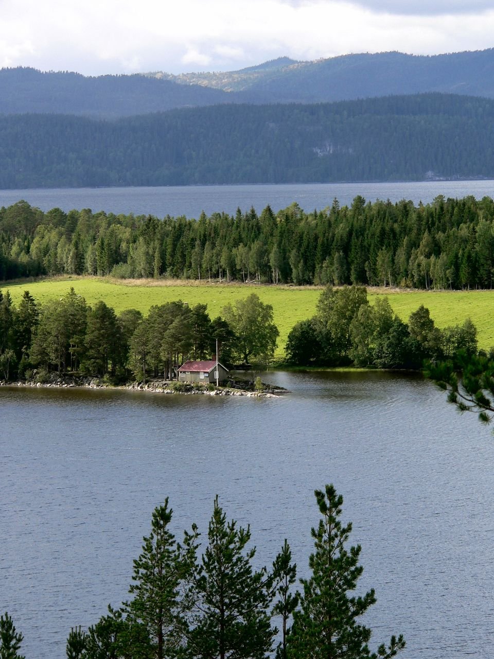 Bola Reinen (NO)