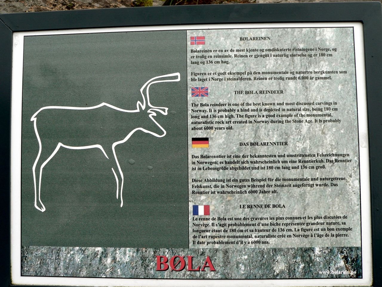 Bola Reinen (NO)