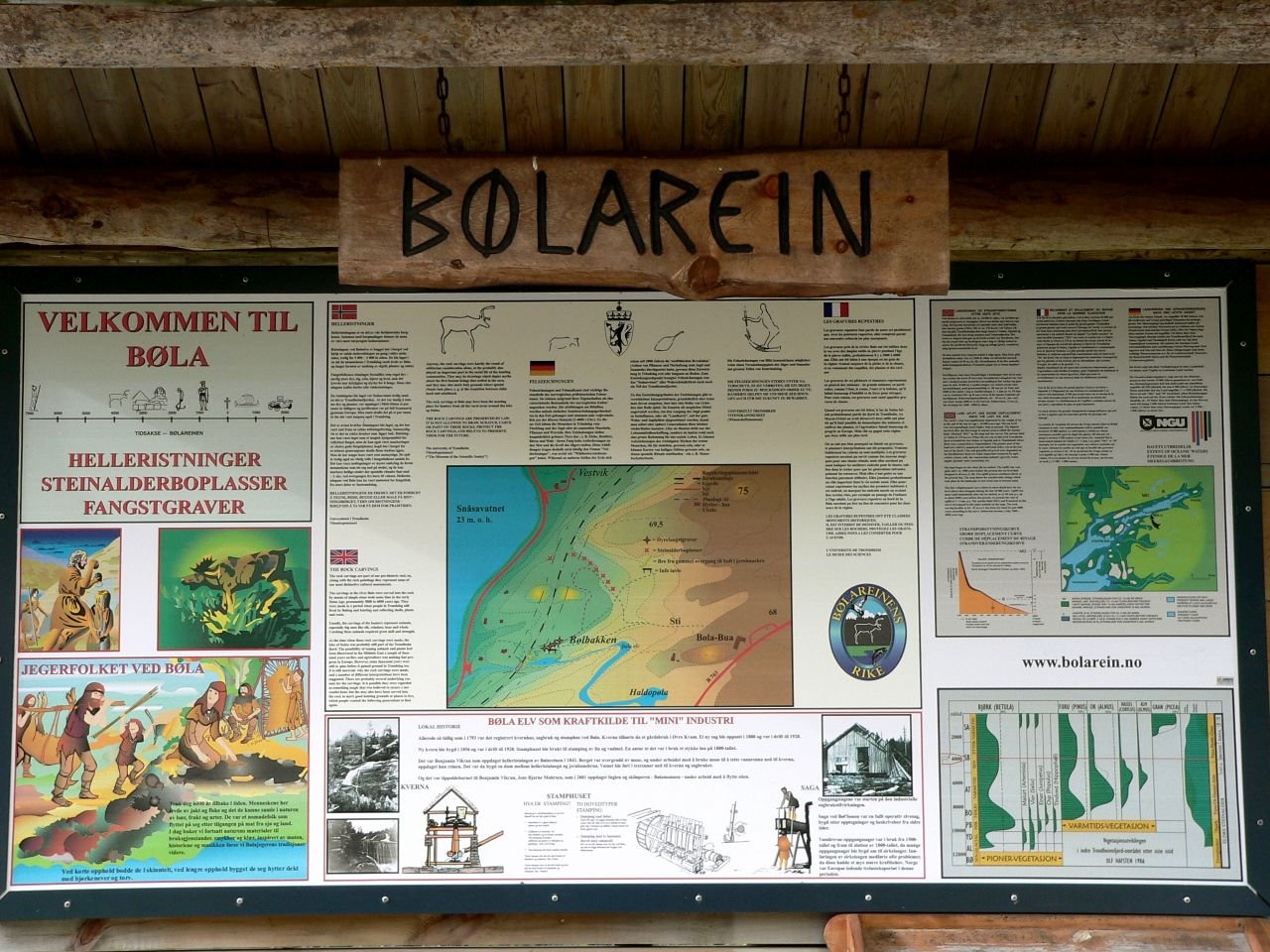 Bola Reinen (NO)