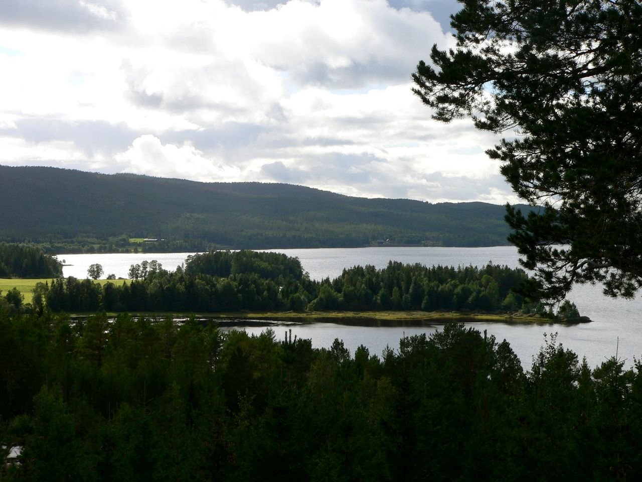 Bola Reinen (NO)