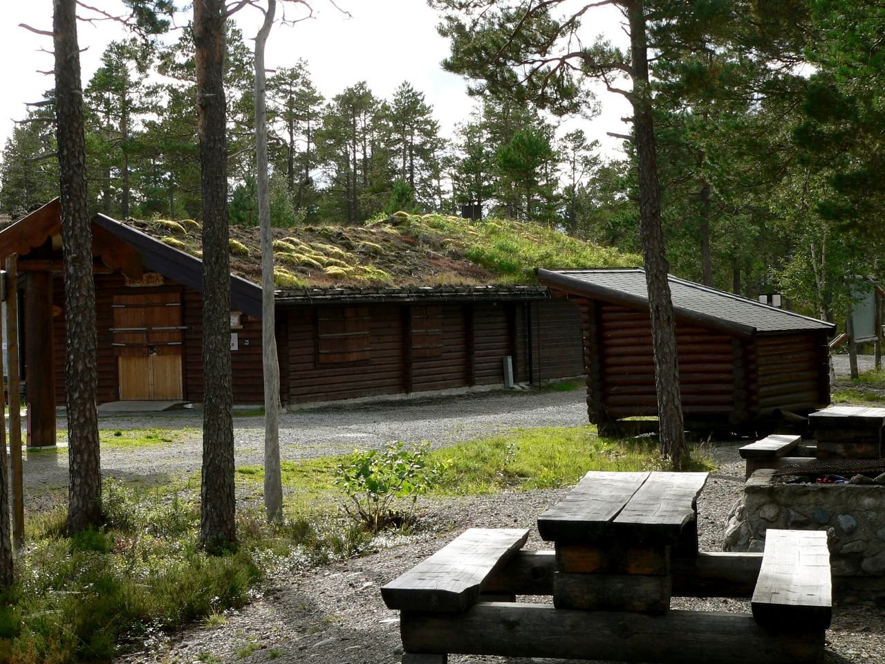 Bola Reinen (NO)