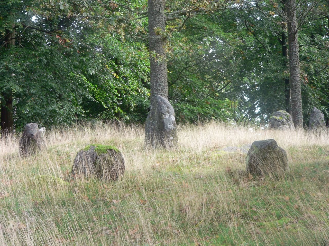 Grabfeld bei Haeglinge (SE)