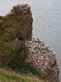 Helgoland