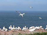 Helgoland