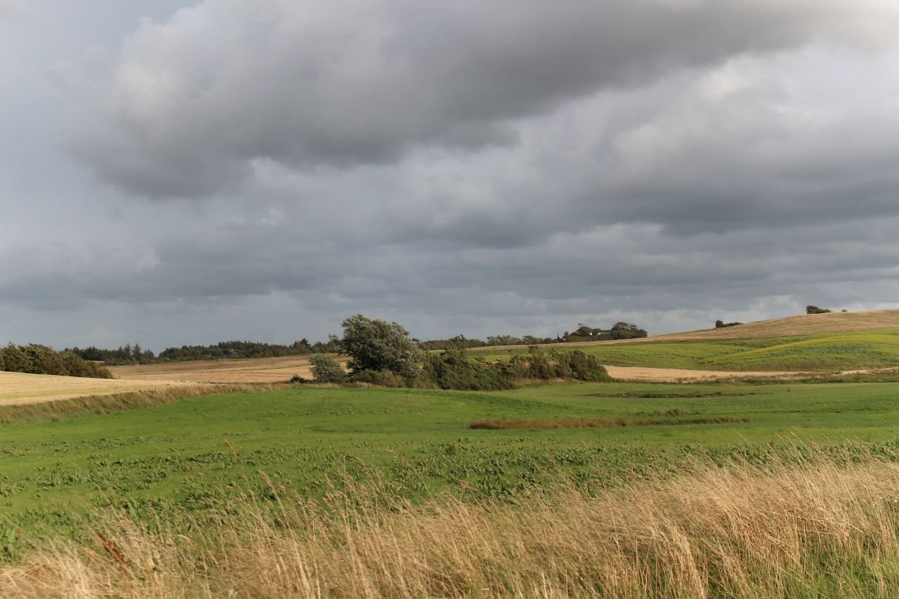 Hirtshals - Aalborg (DK)