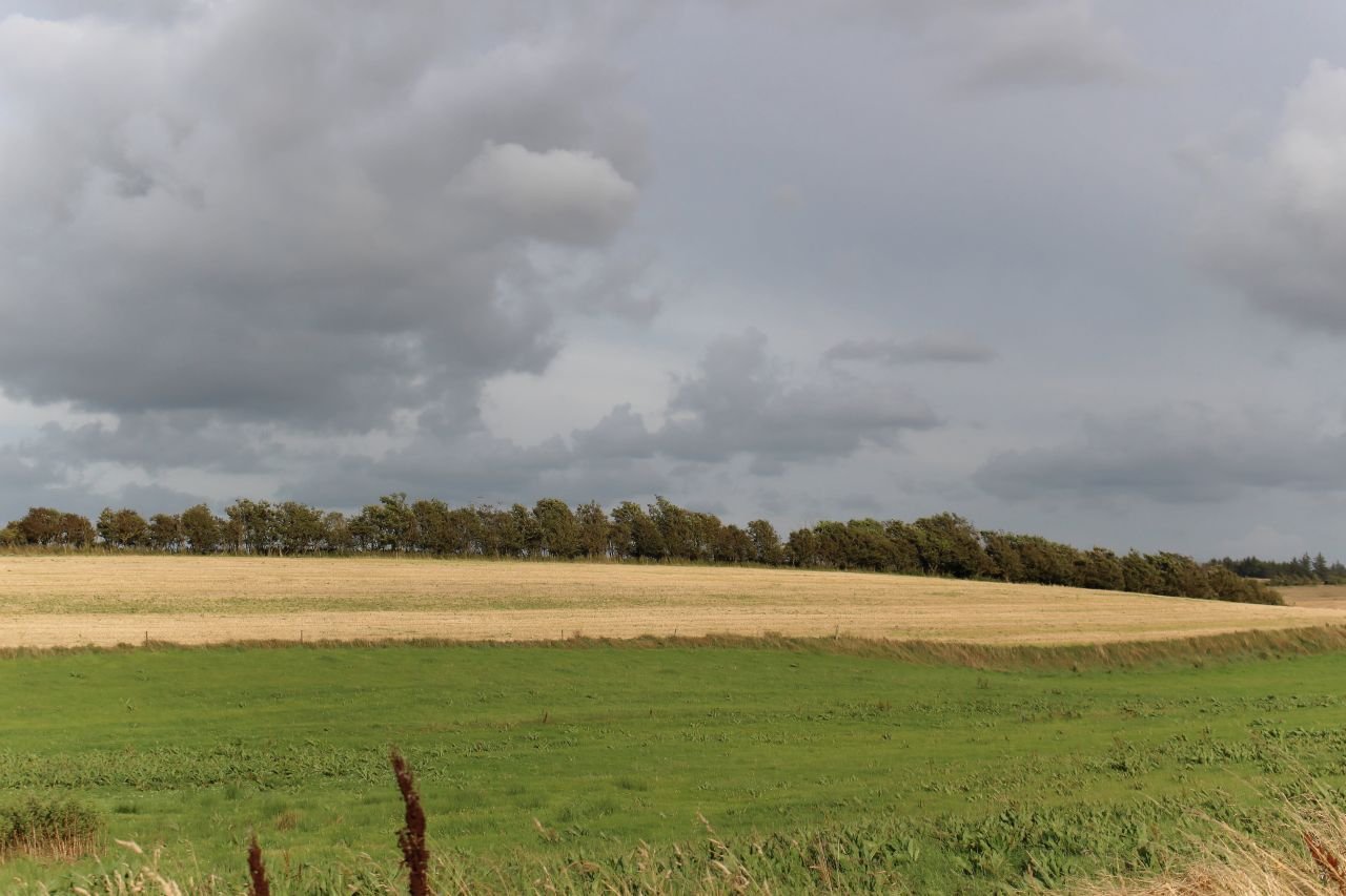 Hirtshals - Aalborg (DK)