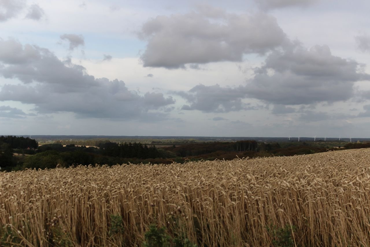 Hirtshals - Aalborg (DK)