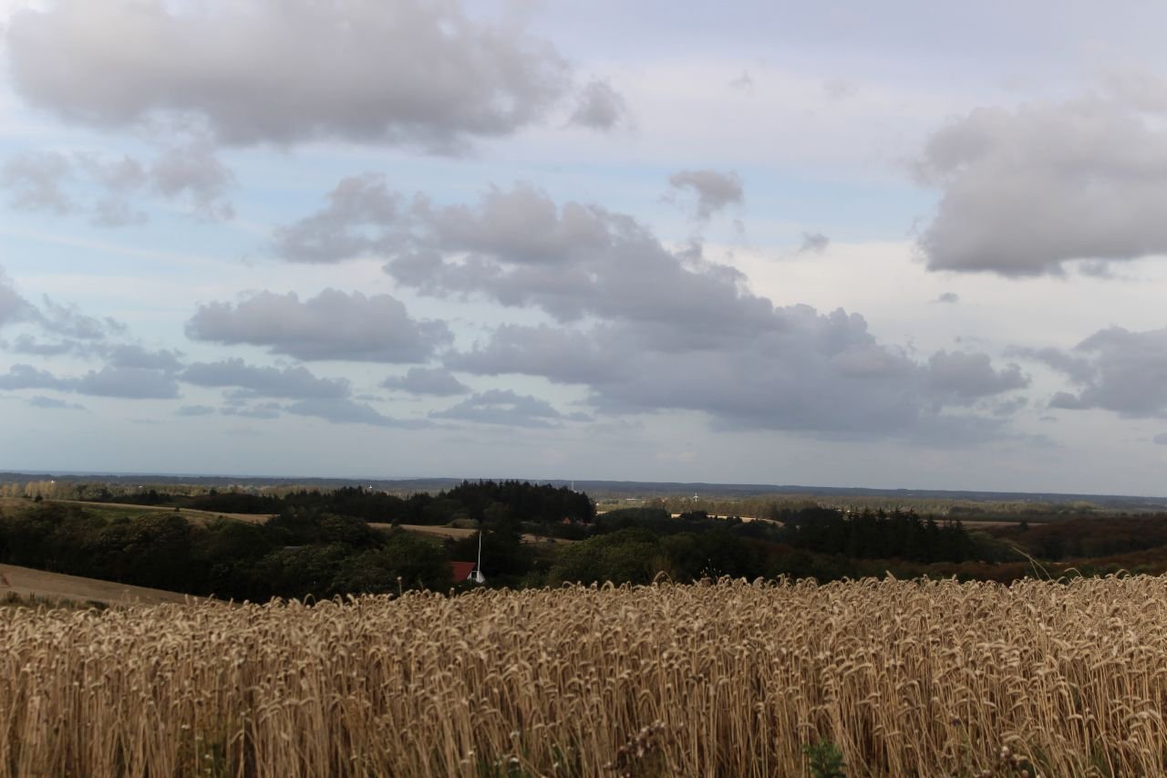 Hirtshals - Aalborg (DK)