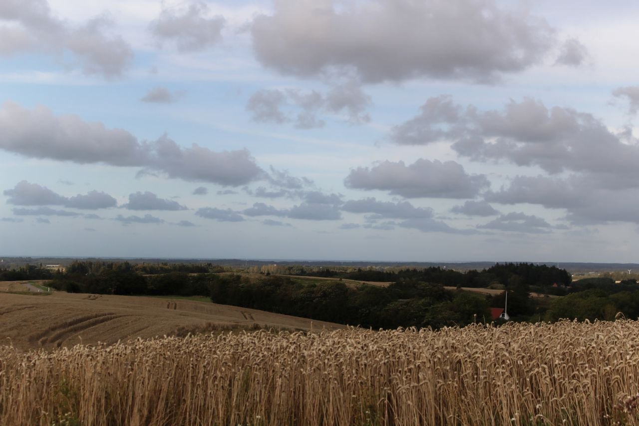 Hirtshals - Aalborg (DK)