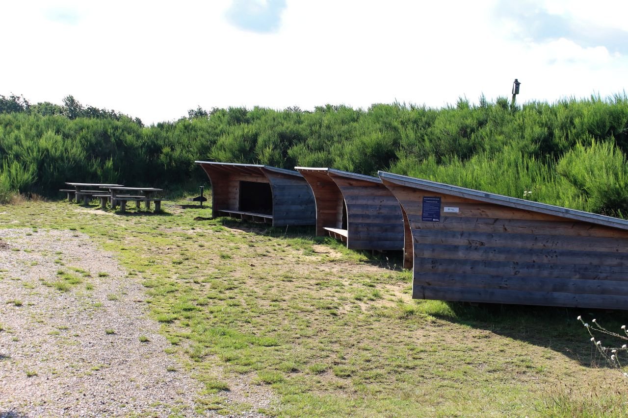 Hirtshals - Aalborg (DK)