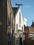 Hoorn