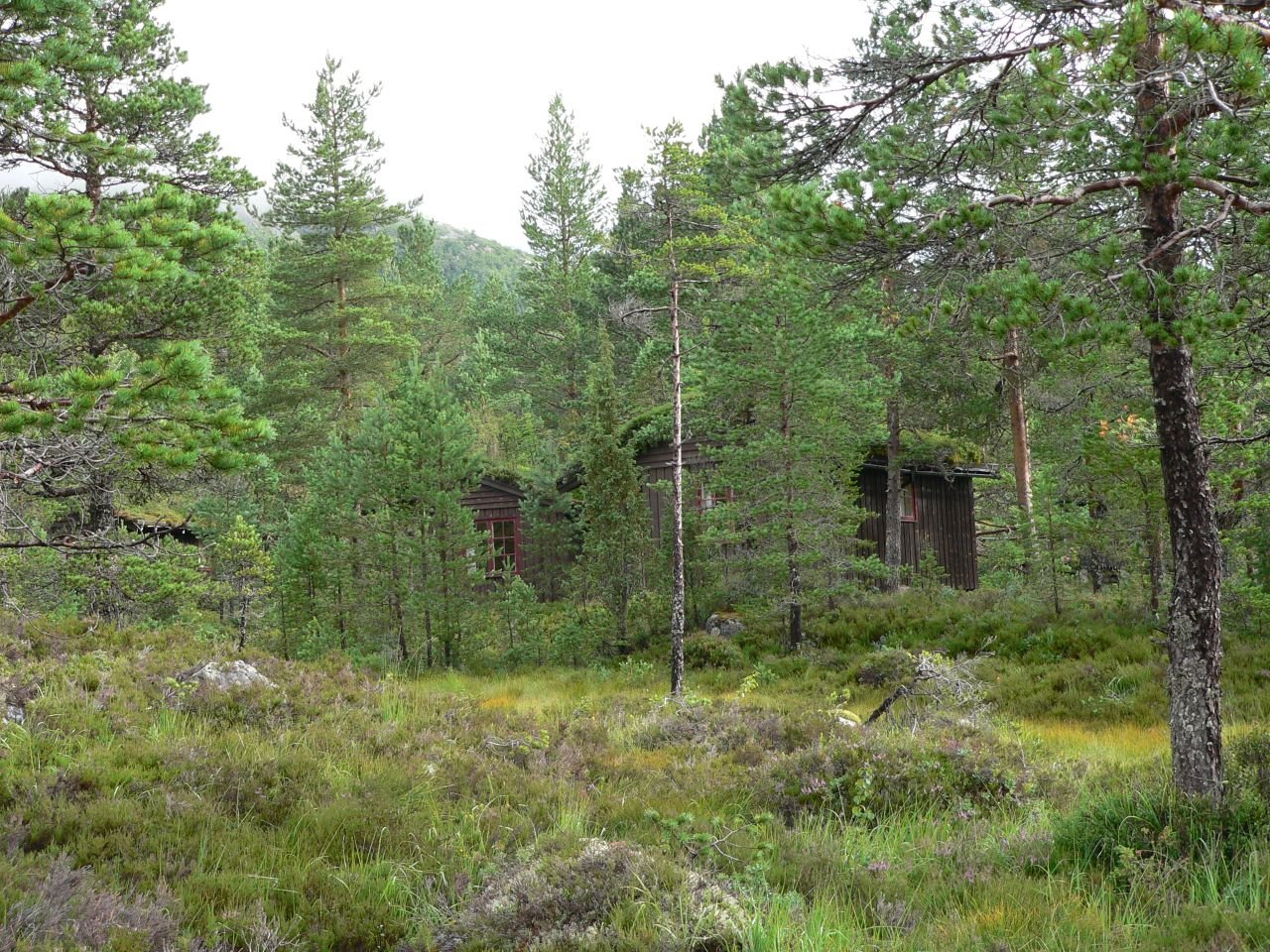 Hov Hyttegrend (NO)
