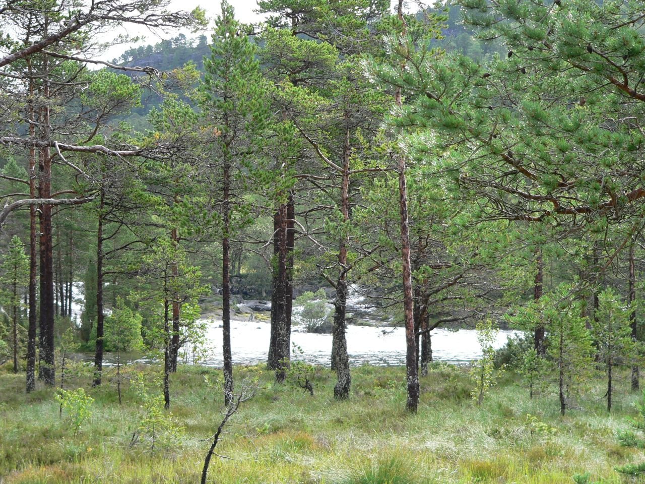 Hov Hyttegrend (NO)