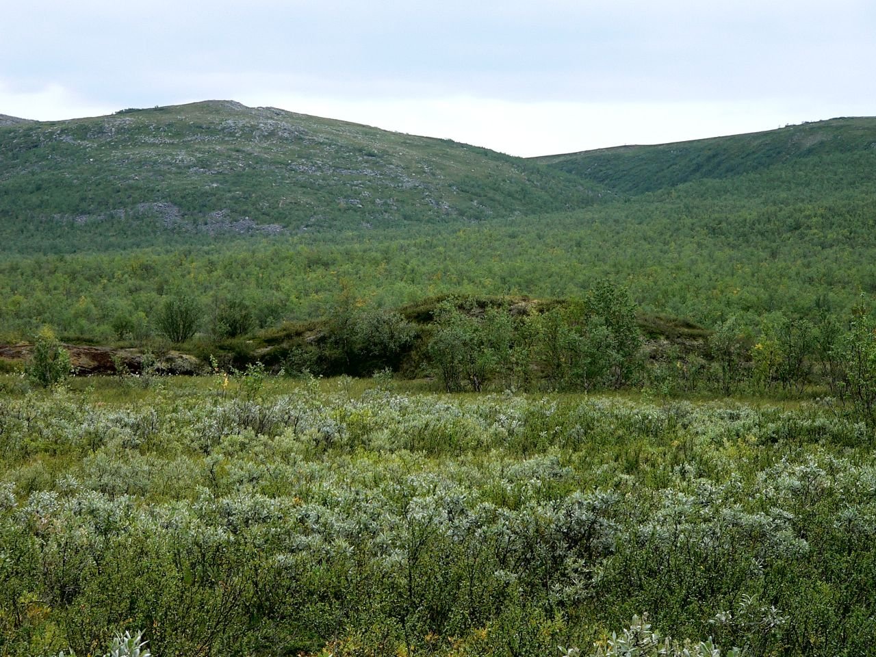 Iiton Palsasuo (FI)