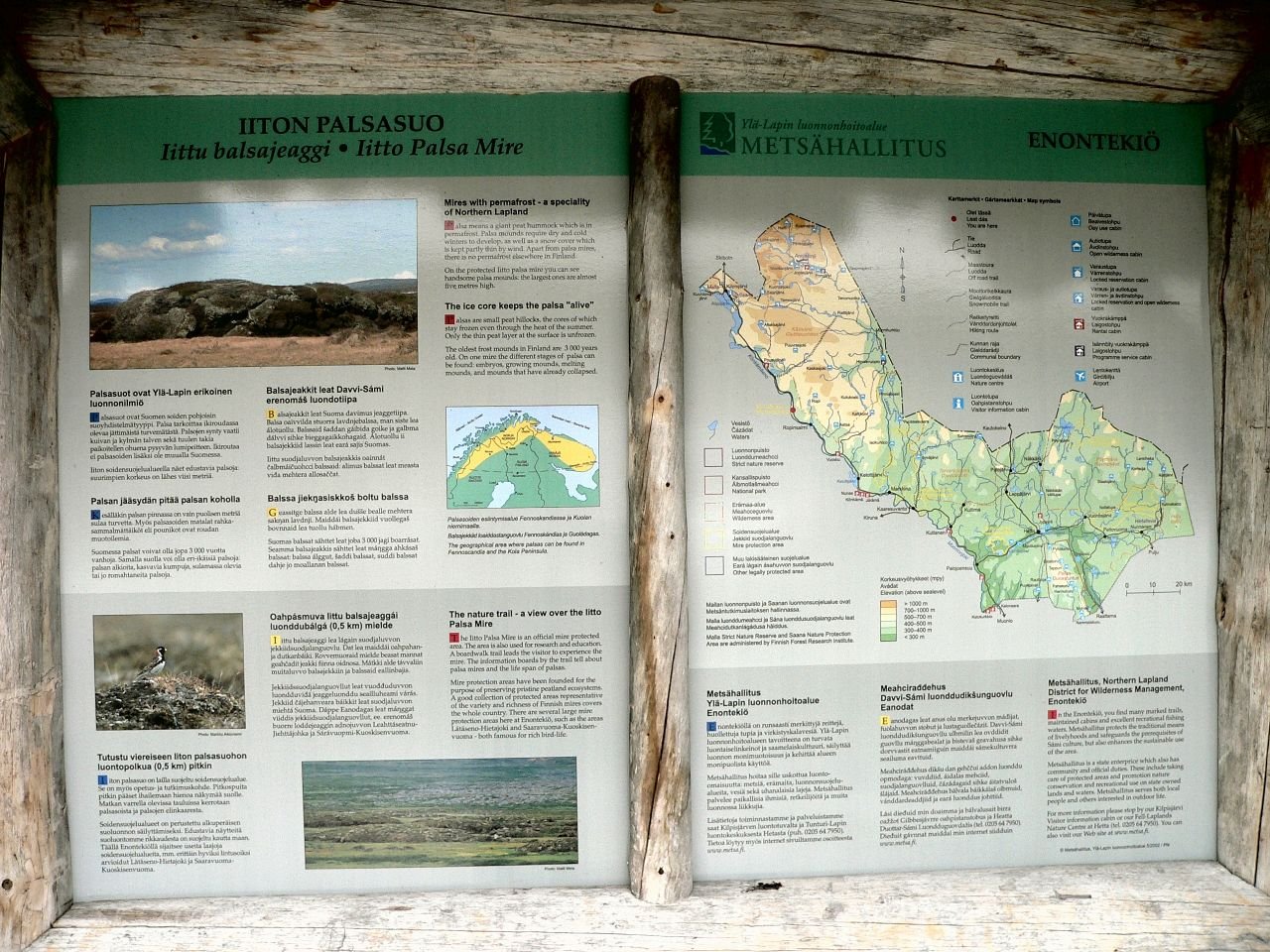 Iiton Palsasuo (FI)