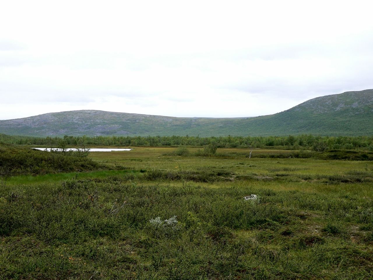 Iiton Palsasuo (FI)