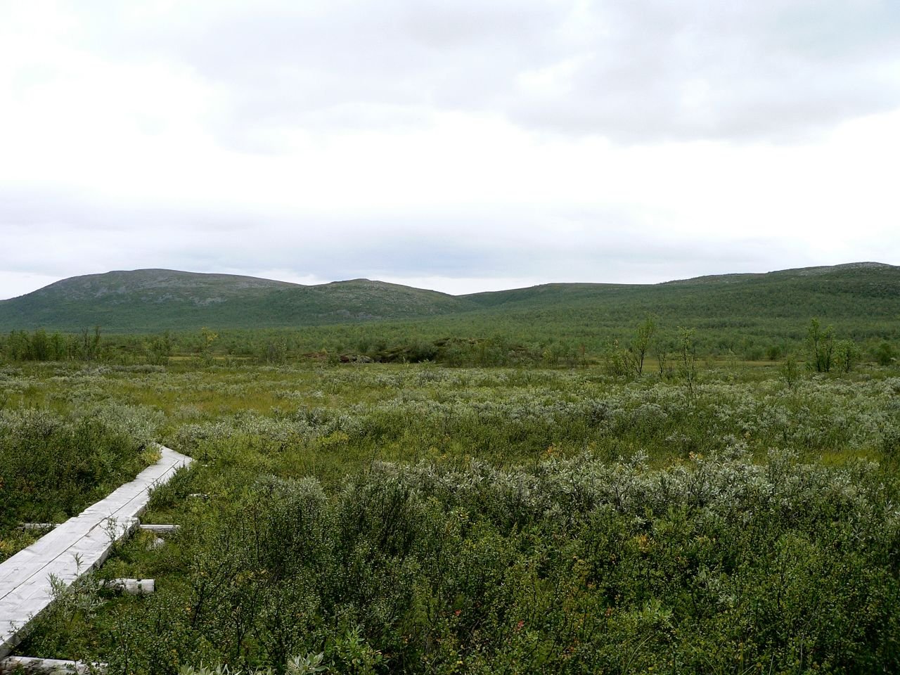 Iiton Palsasuo (FI)