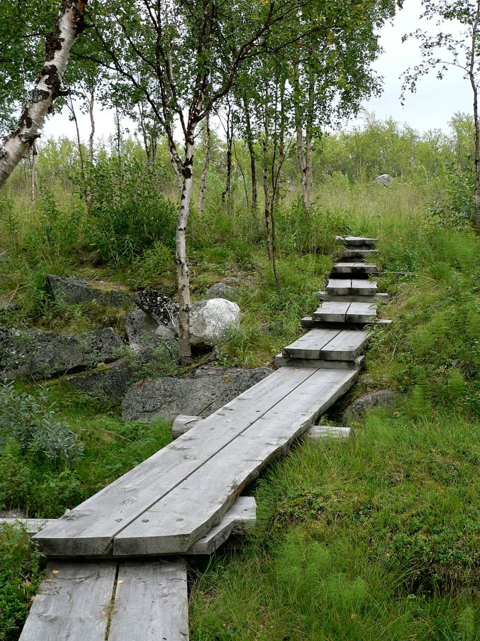 Iiton Palsasuo (FI)