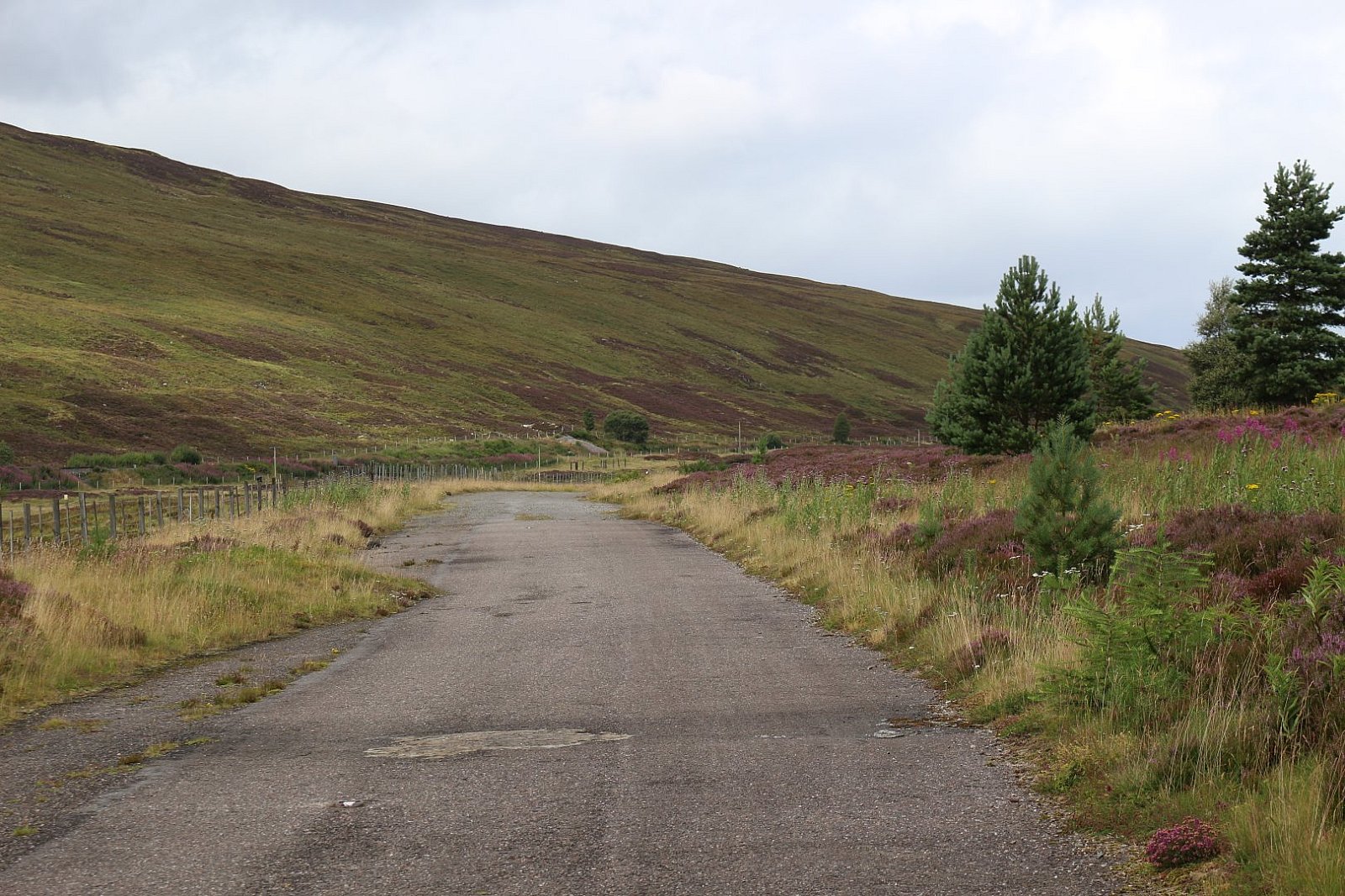 Inverness - Perth
