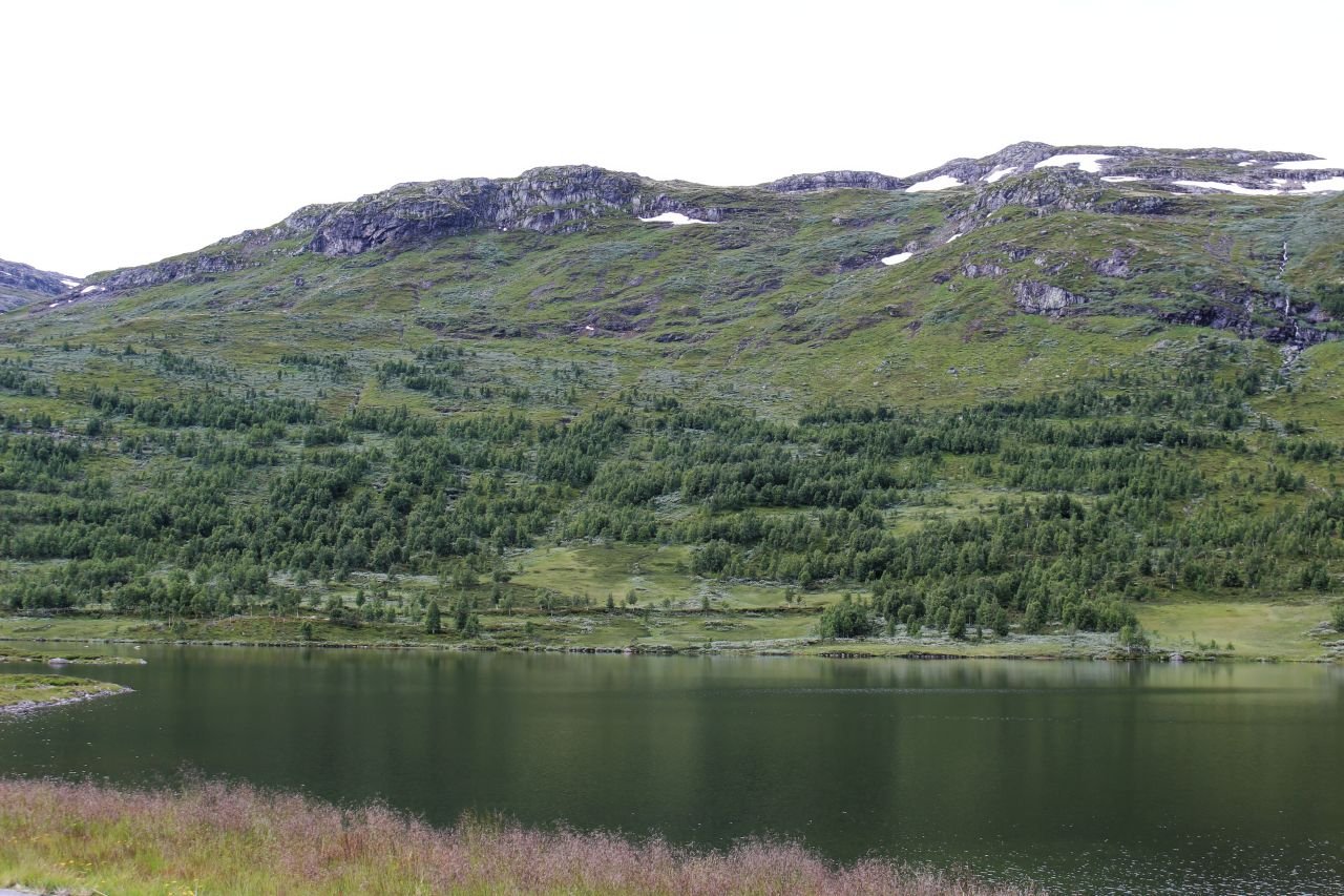 Laerdal - Steinklepp - Tyin