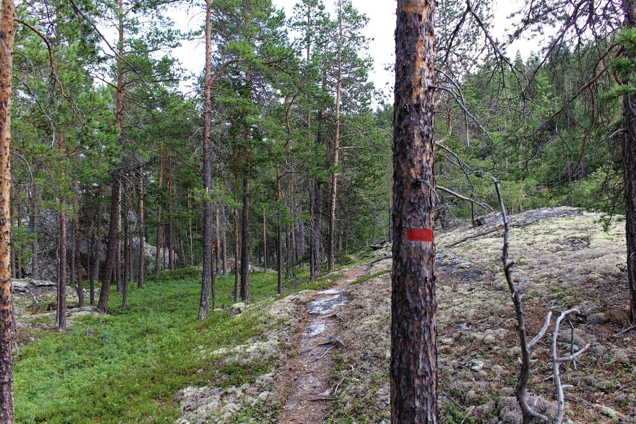 Lom - Skjak Saeter