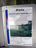 Oelene